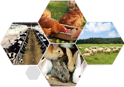 經(jīng)驗(yàn)豐富的技術(shù)團(tuán)隊(duì) 可提供系統(tǒng)解決方案 經(jīng)驗(yàn)豐富的技術(shù)團(tuán)隊(duì) 可提供系統(tǒng)解決方案